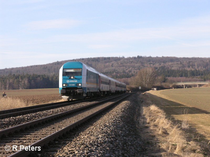 223 065 hat die Kurve bei Oberteich passiert mit den alex nach Mnchen. 11.02.08