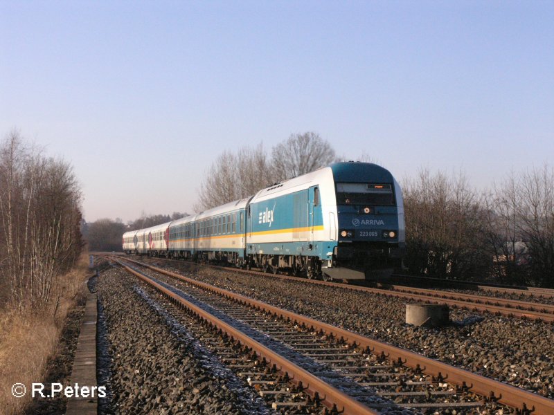 223 065 zieht bei Schnfeld ein Alex nach Hof. 11.02.08