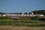 RABe 523 064 und RABe 523 001 bei Salina Raurica. August 2025.