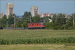 RABe 512 005 und RABe 512 029 (im Bild) bei Salina Raurica. August 2025.