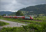 146 231 am Gewerbekanal bei Haslach. August 2025.