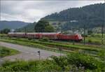 146 237 am Gewerbekanal bei Haslach. August 2025.