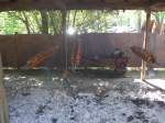 (152'679) - Fleisch auf dem Feuer beim Steirer Picnic am 13.