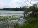 (152'693) - Am Lily Lake am 13.
