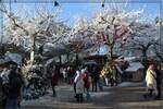 Winterzauber am Bodensee mit Nebenwirkungen.

Weisse Winterwunderwelt am Weihnachtsmarkt in Konstanz im Dezember 2023.