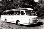 (MD412) - Aus dem Archiv: Globus, Lugano - TI 12'399 - Saurer um 1960