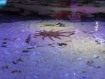 (190'407) - Im Sea Life am 19.