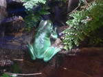 (190'453) - Im Sea Life am 19.