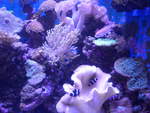 (190'462) - Im Sea Life am 19.