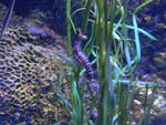 (190'491) - Im Sea Life am 19.