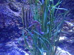 (190'498) - Im Sea Life am 19.