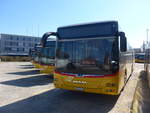 (215'220) - CarPostal Ouest - VD 566'342 - MAN am 15.