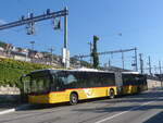 (228'074) - CarPostal Ouest - VD 495'031 - MAN am 18.