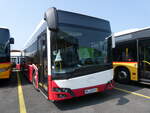 (276'517) - Aus Oesterreich: PostBus - MN 04'591 (BD 15'711) - Solaris am 9.