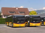 (216'873) - PostAuto Ostschweiz - SZ 27'381 - MAN (ex Kistler, Reichenburg) am 9.