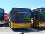 (217'117) - PostAuto Nordschweiz - BL 141'298 - MAN am 21.