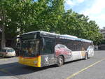 (217'601) - PostAuto Wallis - VS 449'120 - MAN am 1.