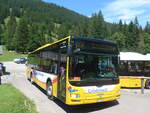 (226'270) - Grindelwaldbus, Grindelwald - Nr.