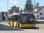 (227'782) - PostAuto Ostschweiz - SG 436'004 - MAN am 4.