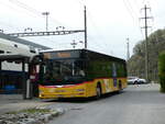 (241'630) - PostAuto Ostschweiz - SG 436'003 - MAN am 20.