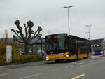 (242'661) - PostAuto Ostschweiz - SG 304'013 - MAN am 13.