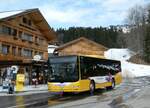 (246'253) - Grindelwaldbus, Grindelwald - Nr.