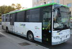 N-Bus, St. Plten - P NBUS 64 - Mercedes am 4. Oktober 2022 in Krems (Aufnahme: Martin Beyer)