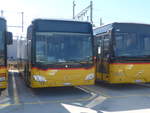 (215'210) - CarPostal Ouest - VD 613'443 - Mercedes am 15.