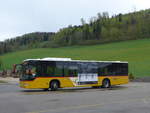 (204'554) - CarPostal Ouest - JU 61'876 - Mercedes (ex Nr.