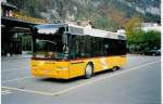 (043'627) - Selfors, Meiringen - BE 250'684 - Neoplan am 21.