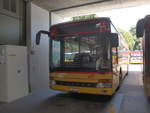 (217'566) - AutoPostale Ticino - TI 215'031 - Setra (ex P 25'650) am 1.