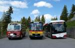 (286'900) - Dysli, Bern - Nr. 18/BE 17'120 - FBW/FHS (ex P 23'211; ex P 21'011) + Ruklic, Schaffhausen - SH 31'376 - NAW/Hess (ex AVG Meiringen Nr. 68/PID 964) + AAGS Schwyz - Nr. 6/SZ 5006 - eSolaris am 9. Mai 2026 in Ibergeregg, Passh�he