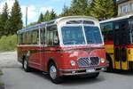 (286'902) - Dysli, Bern - Nr. 18/BE 17'120 - FBW/FHS (ex P 23'211; ex P 21'011) am 9. Mai 2026 in Ibergeregg, Passh�he