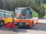 (219'676) - Boni, Tesserete - TI 136'487 - NAW/Hess (ex AMSA Chiasso) am 16.