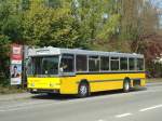 (136'086) - Wanner, Schleitheim - SH 58'045 - Saurer/Hess (ex Ruklic, Schaffhausen; ex VBSH Schaffhausen Nr.