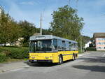 (255'290) - Wanner, Schleitheim - SH 48'096 - Saurer/Hess (ex Ruklic, Schaffhausen; ex VBSH Schaffhausen Nr.