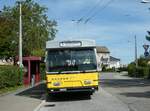 (255'291) - Wanner, Schleitheim - SH 48'096 - Saurer/Hess (ex Ruklic, Schaffhausen; ex VBSH Schaffhausen Nr.