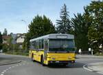 (255'351) - Wanner, Schleitheim - SH 48'096 - Saurer/Hess (ex Ruklic, Schaffhausen; ex VBSH Schaffhausen Nr. 40; ex VBSH Schaffhausen Nr. 19) am 17. September 2023 in Schaffhausen, Falkeneck