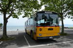 (287'445) - Gautschi, Suhr - AG 6835 - Saurer/T�scher (ex L�tscher, Neuheim Nr. 200/PID 2525; ex Cartek, Regensdorf; ex P 25'822) am 30. Mai 2026 in Arbon, Arbon Classics