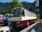 (253'951) - Zger, Beggingen - SH 27'151 - Setra (ex Brngger, Elsau) am 19.