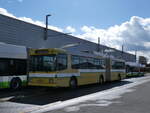 (272'830) - transN, La Chaux-de-Fonds - Nr. 117 - NAW/Hess Gelenktrolleybus (ex TN Neuchtel Nr. 117) am 13. Mrz 2025 in Marin, Dpt