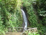 (211'190) - Catarata Morpho Azul im Mistico am 14.