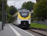 563 016 in Zell am Harmersbach.