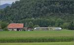 563 016 auf dem Weg von Biberach nach Zell am Harmersbach.