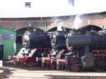 50 3706, 50 3695 und 52 8284 im Ringlokschuppen des BW Stafurt. September 2005