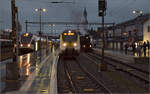 Hamster 3442 207 und ein Kollege warten in Konstanz auf die Abfahrt nach Stuttgart mit vielen angeheiterten Weihnachtsmarktbesuchern.