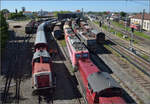 4. Nrdlinger Eisenbahnfest.

Der Blick ber das Gelnde. Jnui 2025.

