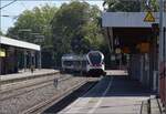 Ausfahrt des unplanmigen Solokmpfers RABe 521 203 aus Radolfzell.