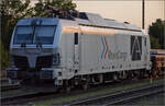 Vorboten der Hochrheinbahnbaustelle. 248 060 von Rheincargo in Rheinfelden. August 2025.