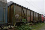 Der gedeckte G�terwagen 650 805 Gbqrs w�hrend der Dampftage Rottweil. Oktober 2026.